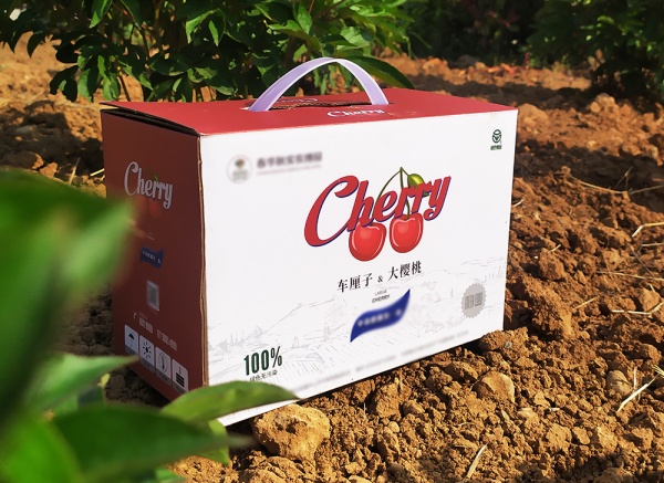 櫻桃、車(chē)厘子禮盒
